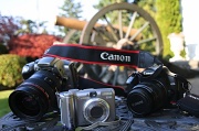 12th Sep 2012 - Canon!!