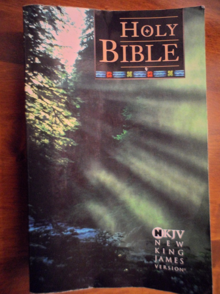 Holy Bible by tiss