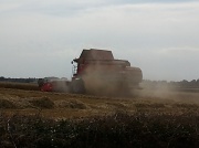 9th Sep 2012 - Combine Harvester