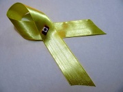13th Sep 2012 - tie a yellow ribbon 'round the old oak tree