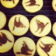 11th Sep 2012 - Cookies