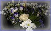 11th Sep 2012 - Gift of flowers