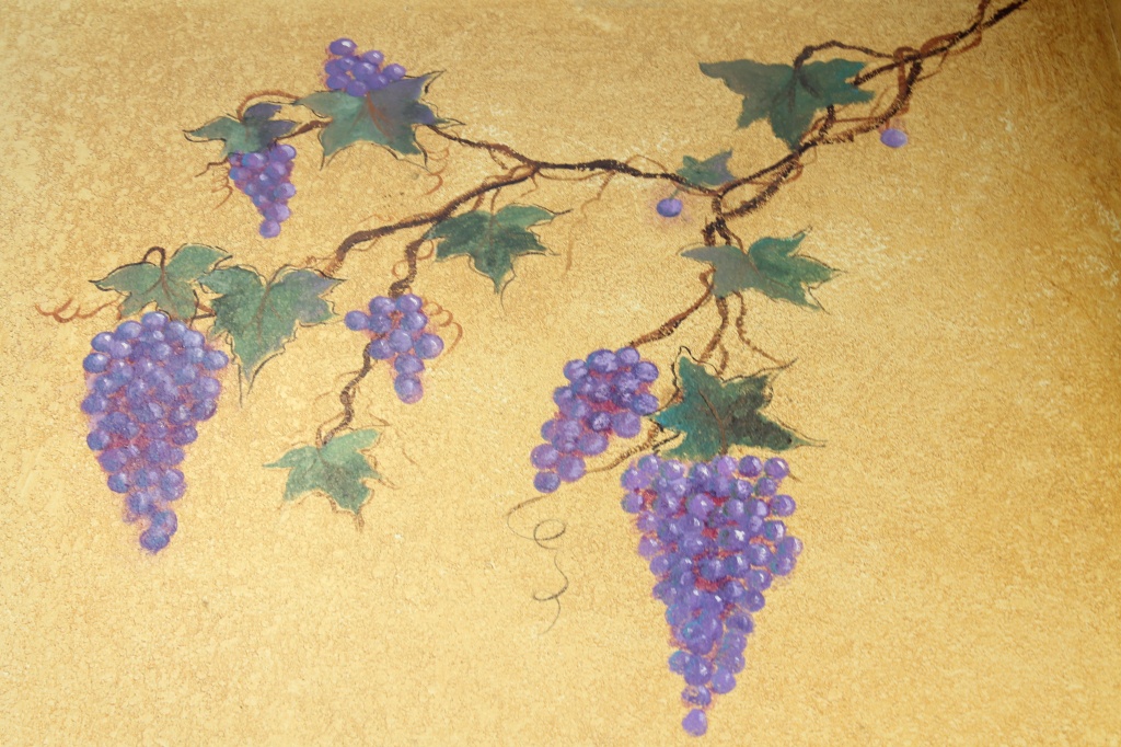 Grapevine on the wall by judyc57