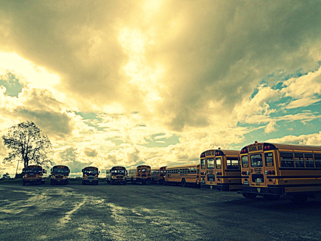 school busses by edie
