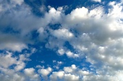16th Aug 2012 - Fluffy Clouds