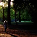 Green Park by boxplayer