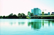 16th Sep 2012 - Cooks River