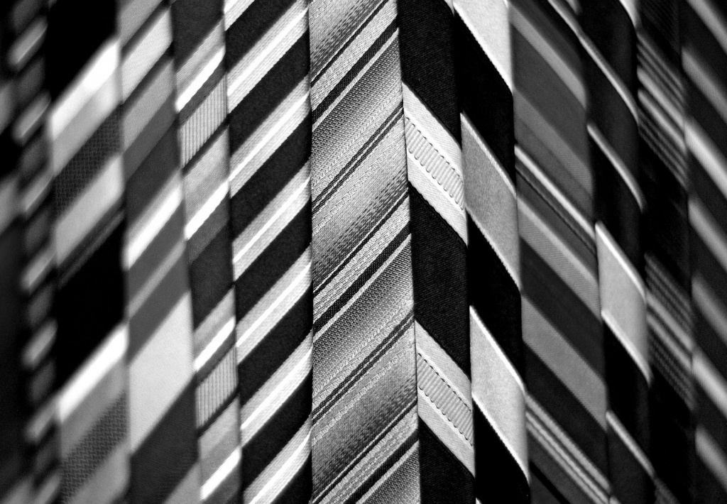 (Day 215) - Neckties in Black & White  by cjphoto