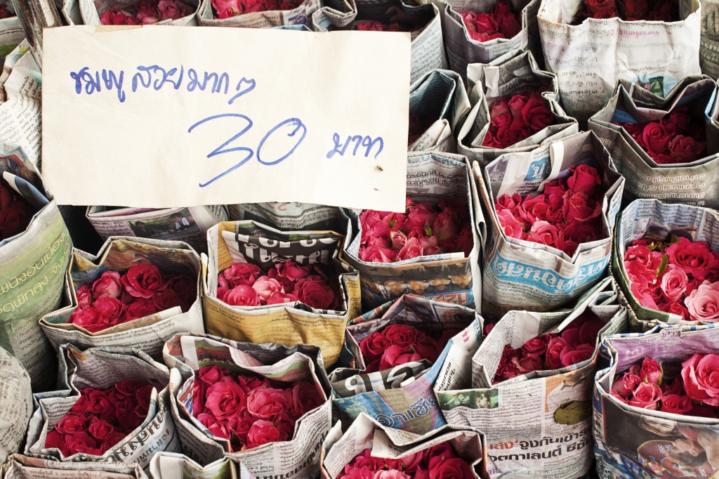 Roses 30 baht by lily