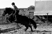 16th Sep 2012 - Jumping lesson