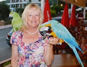 11th Sep 2012 - I love parrots and macaws