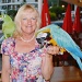 I love parrots and macaws by rosiekind