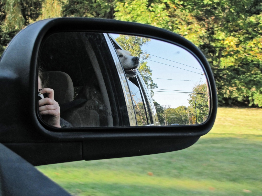 Objects in mirror are closer than they appear. by maggie2
