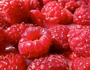 16th Sep 2012 - Raspberries!