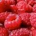 Raspberries! by houser934