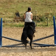 16th Sep 2012 - Jumping bare back