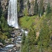 Tumalo Falls by edorreandresen