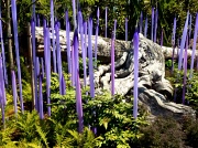 17th Sep 2012 - Chihuly - One With Nature