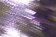 16th Sep 2012 - ICM 1st attempt (a tree).
