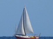 9th Sep 2012 - Sailing