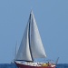 Sailing by rosiekind