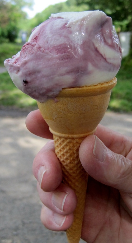 Day 2: Purple - 'blackberries and double cream' ice cream by quietpurplehaze