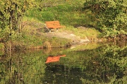 15th Sep 2012 - Reflections