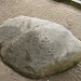 Plymouth Rock by graceratliff