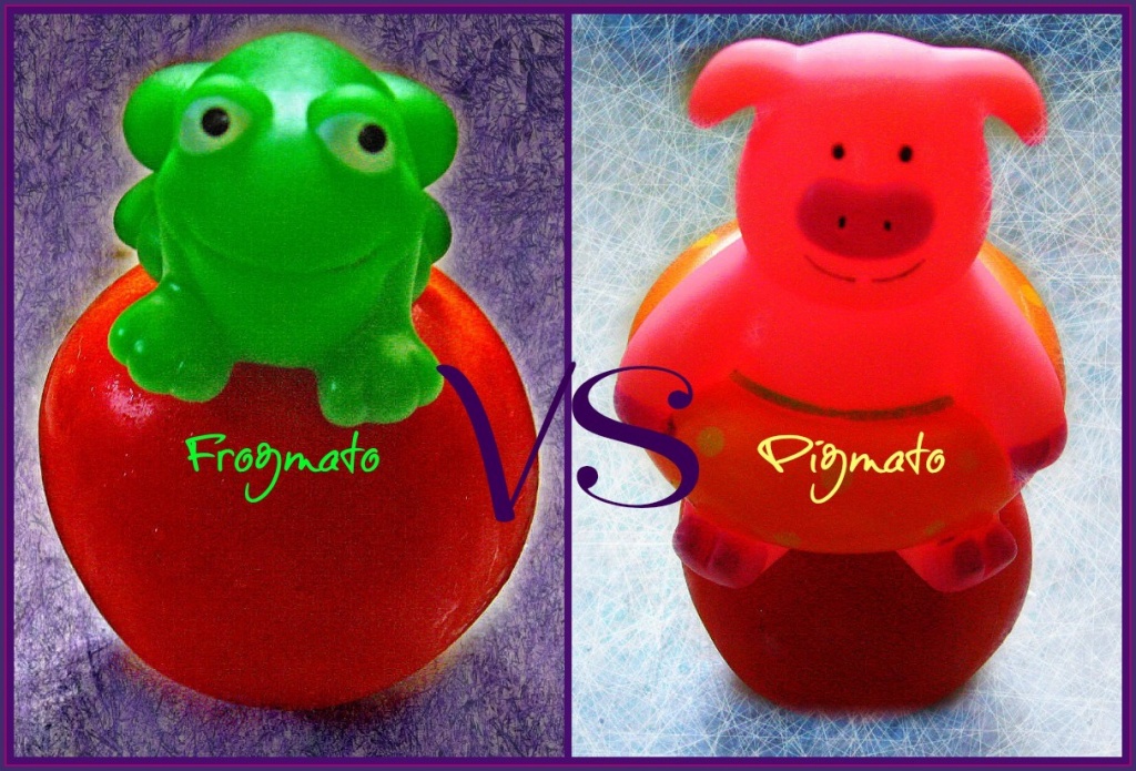Frogmato vs Pigmato by olivetreeann