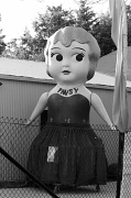 16th Sep 2012 - Pansy the giant kewpie - Bungendore NSW