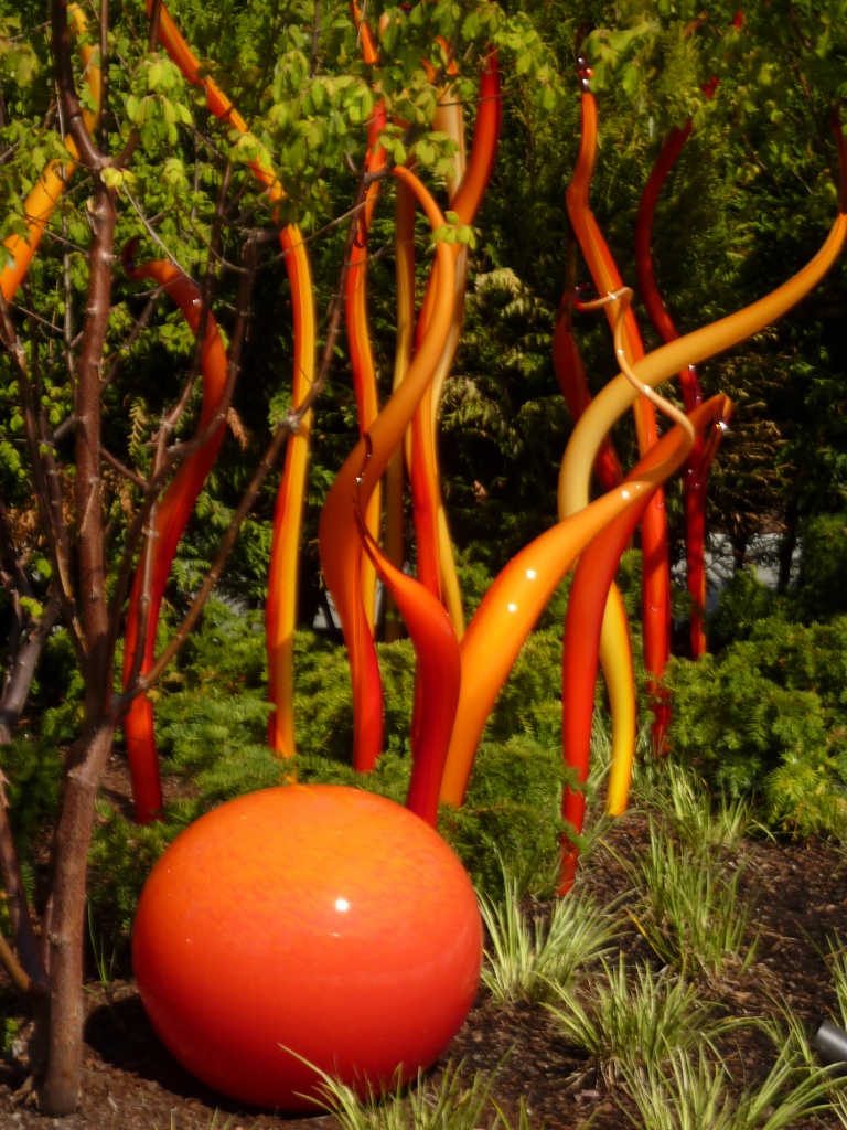 Chihuly - Orange by denisedaly