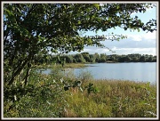 20th Sep 2012 - Dovecote lake