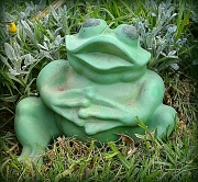 20th Sep 2012 - Garden Frog
