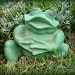 Garden Frog by salza