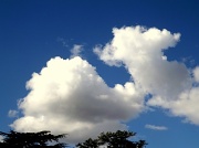 20th Sep 2012 - The White Clouds of Mitcham 