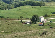 20th Sep 2012 - Working farm