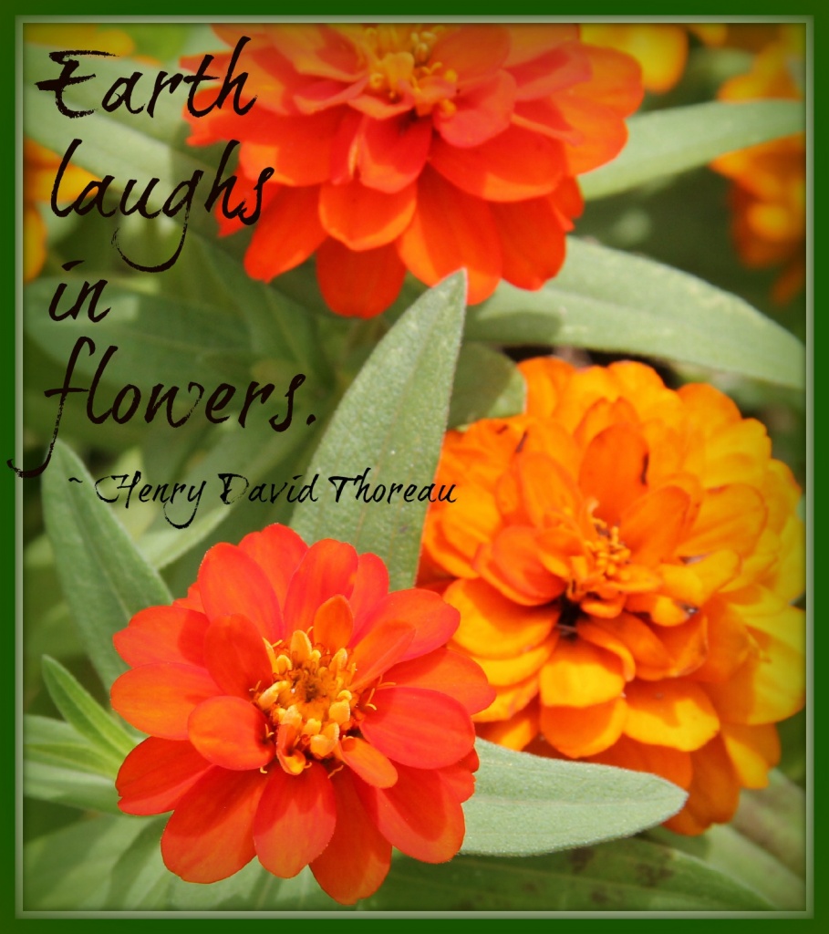 Earth Laughs in Flowers by tara11