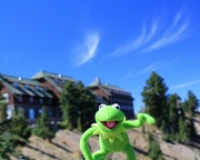 20th Sep 2012 - Kermit at Crater Lake Lodge