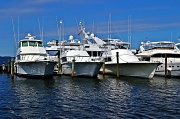 21st Sep 2012 - Fishing Yachts at the Marina