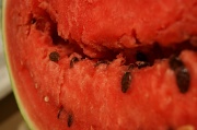 18th Sep 2012 - watermelon