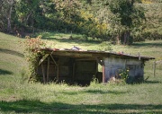 21st Sep 2012 - Shed