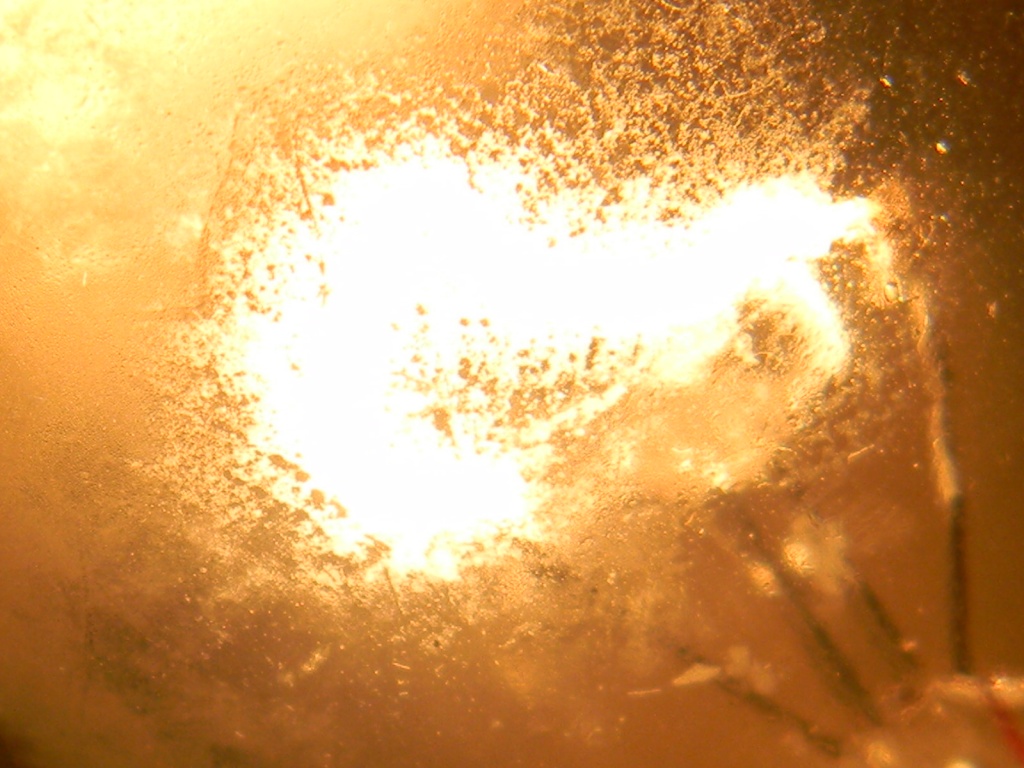 Close-up of Lightbulb 9.19.12 by sfeldphotos