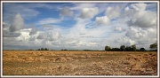 20th Sep 2012 -  Mowed and threshed