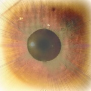 21st Sep 2012 - Star in my Eye