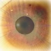 Star in my Eye by filsie65