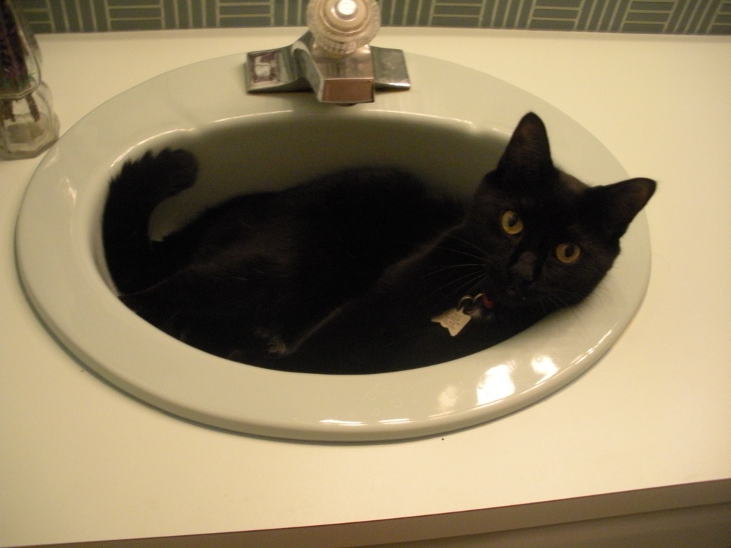 Sink's clogged! by klh