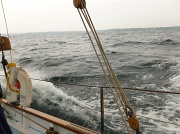 17th Sep 2012 - At sea