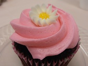 22nd Sep 2012 - Cupcake