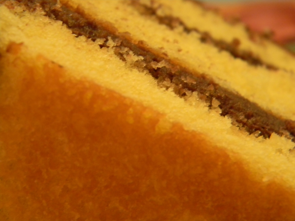 Close-up of Dad's Birthday Cake Slice 9.22.12 by sfeldphotos