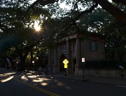 22nd Sep 2012 - College of Charleston Campus, George Street, Charleston, SC